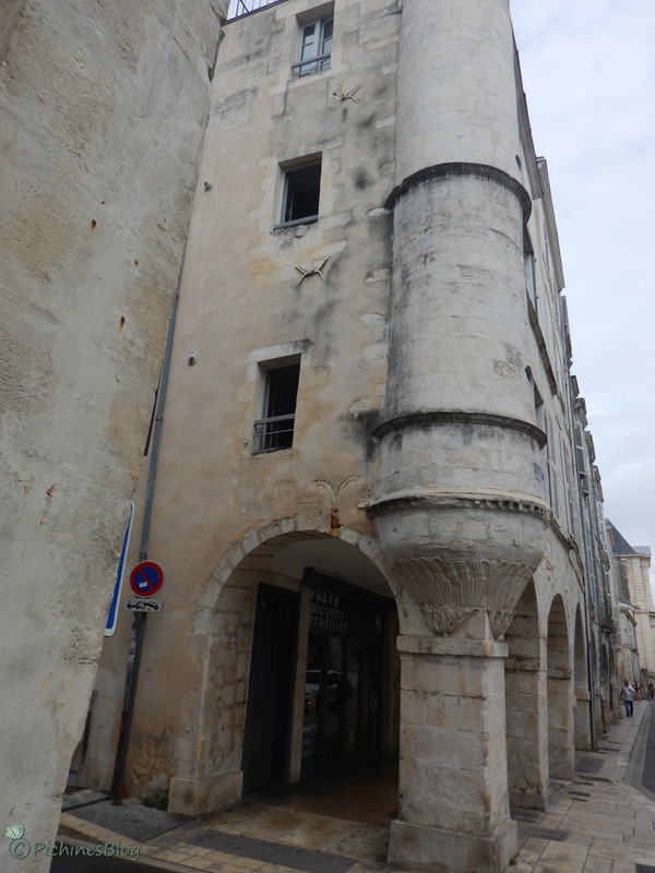 DSCN1557