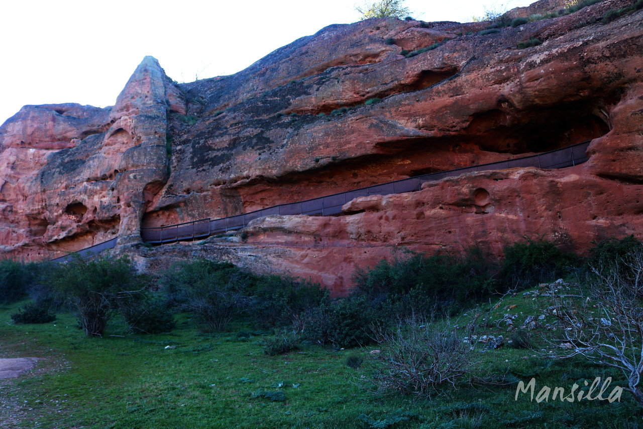 Yac-Arq-Tiermes-0849-10