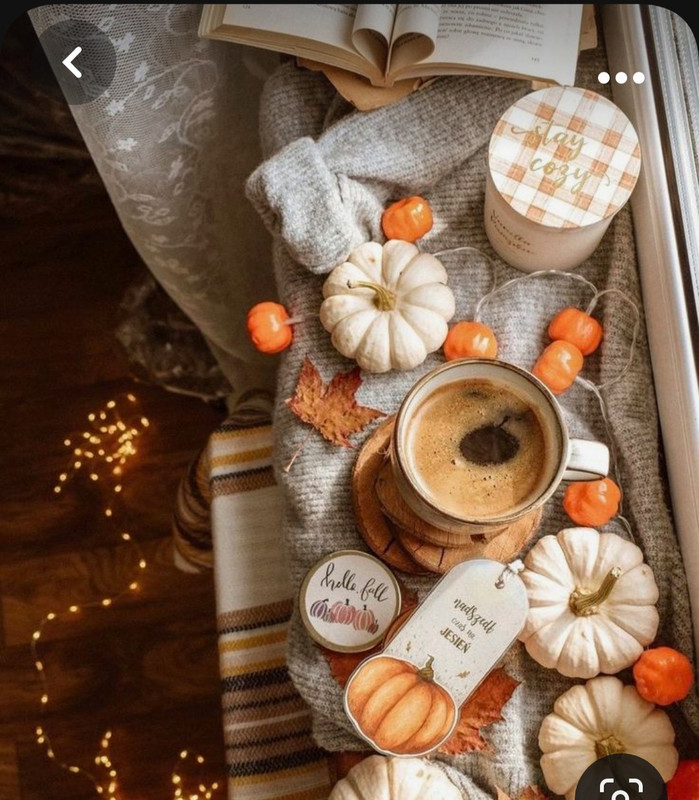 Screenshot_20231015_210343_Pinterest