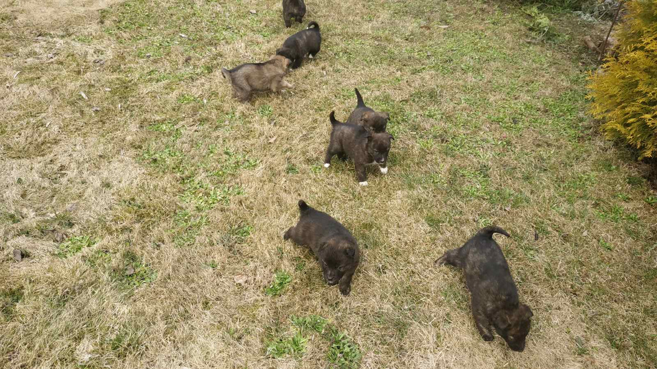 E5065741-8EFE-44D5-A728-BAE449E54300