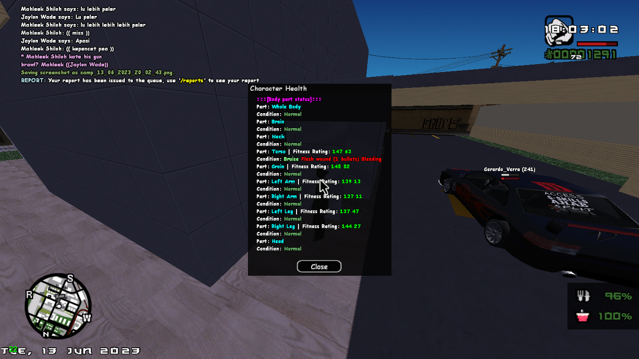 samp-13-06-2023-20-03-03.png