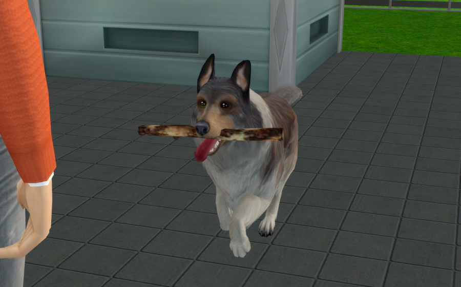 Sims2-EP9-RPC-2021-04-21-22-49-45-08