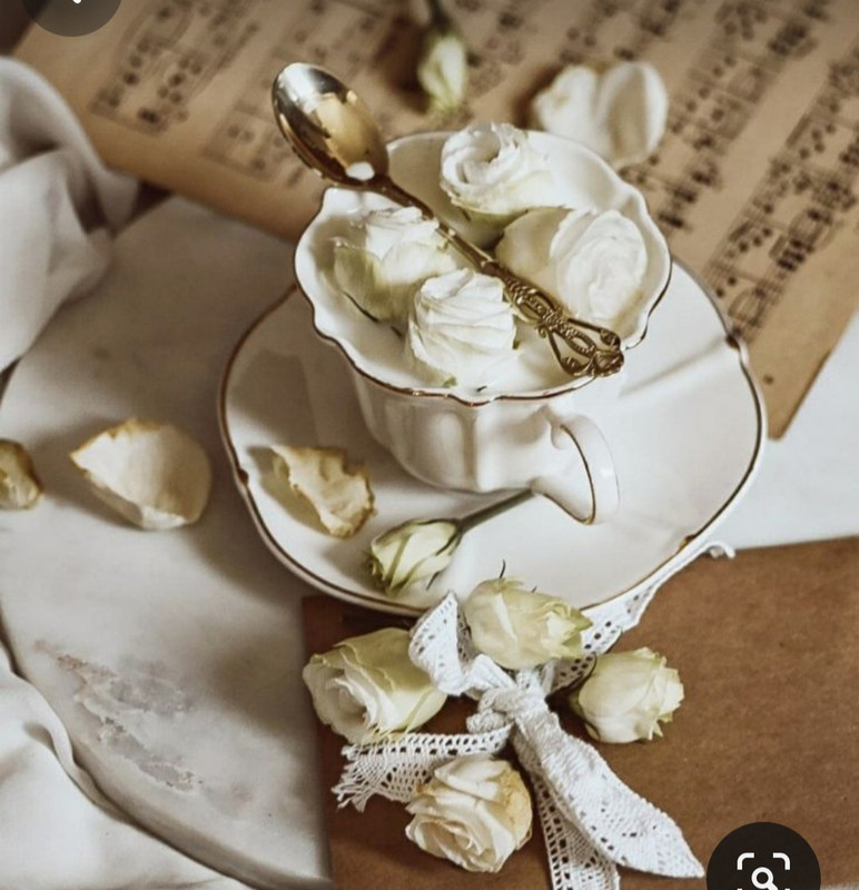 Screenshot_20230830_224229_Pinterest