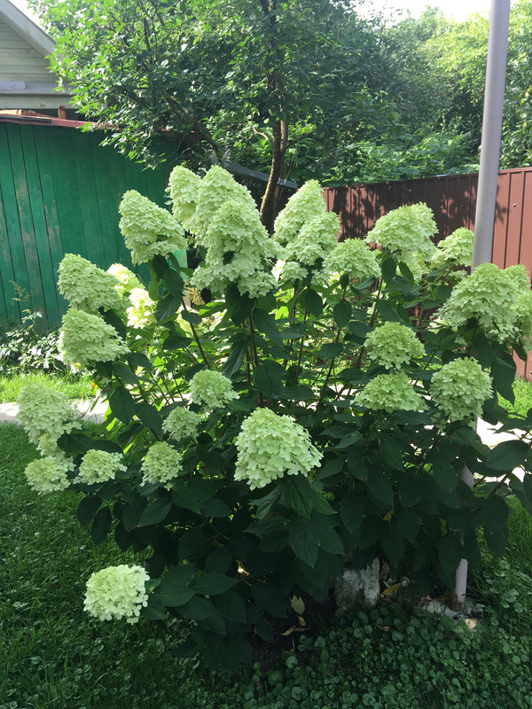 0BB3C150-817A-40CE-89B4-2650C19FACBE