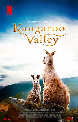 Kangaroo Valley - La Valle Dei Canguri (2022) .mkv DLMux 1080p E-AC3+AC3 ITA ENG SUBS