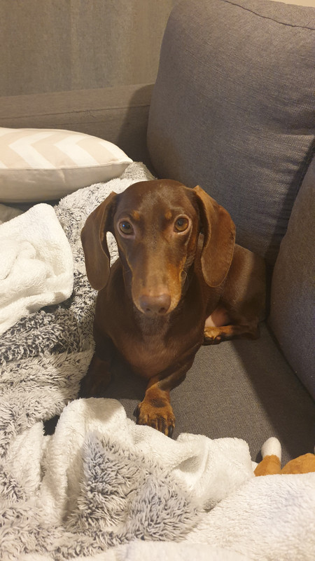 [Image: 20211105-213326.jpg]