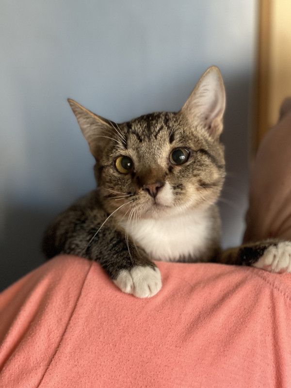 D0F20FEF-E8E8-4B2C-9654-6FBFEAB36853