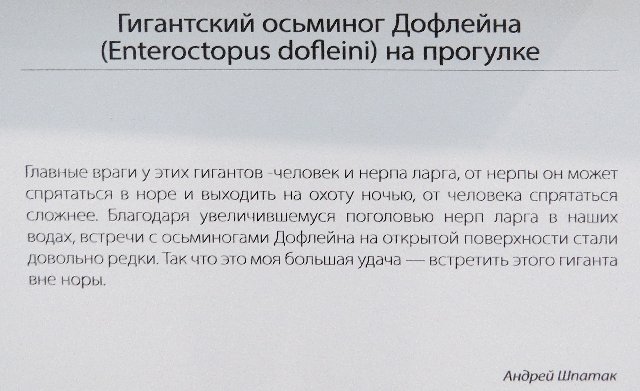 https://i.postimg.cc/CLRkDHTh/439-IMG-4830.jpg