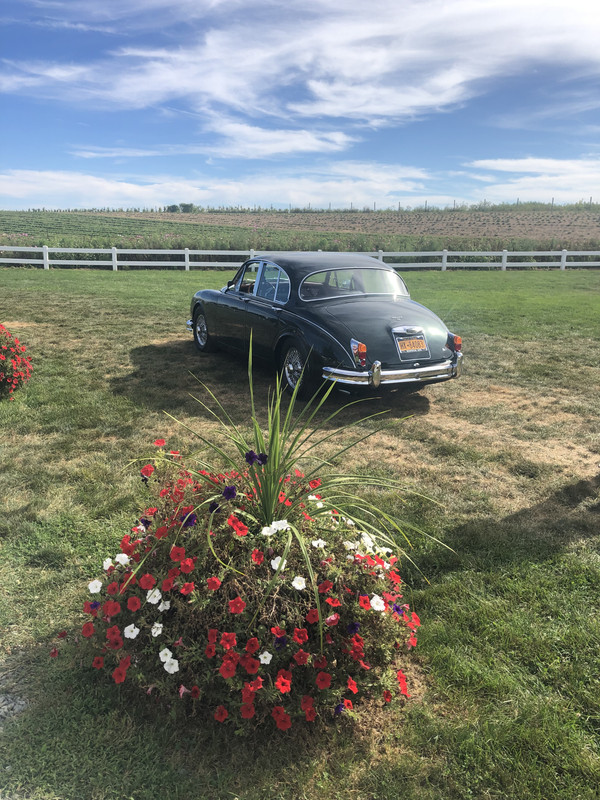 74281E4B-2C3E-4BCA-830E-81C19E9DC68B