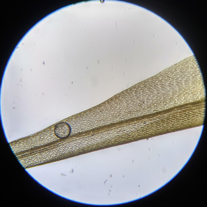 IMG 20250614 111227 HDR