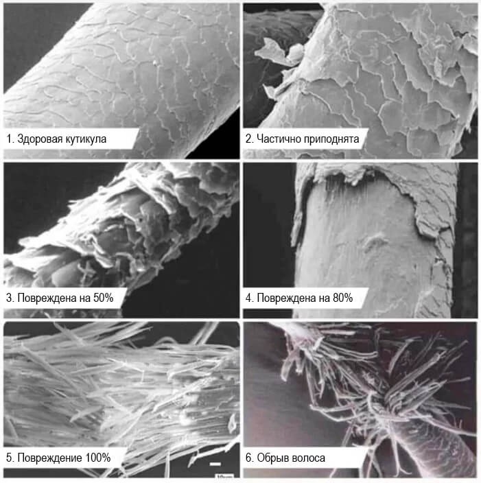 Волос под микроскопом - повреждения от трения