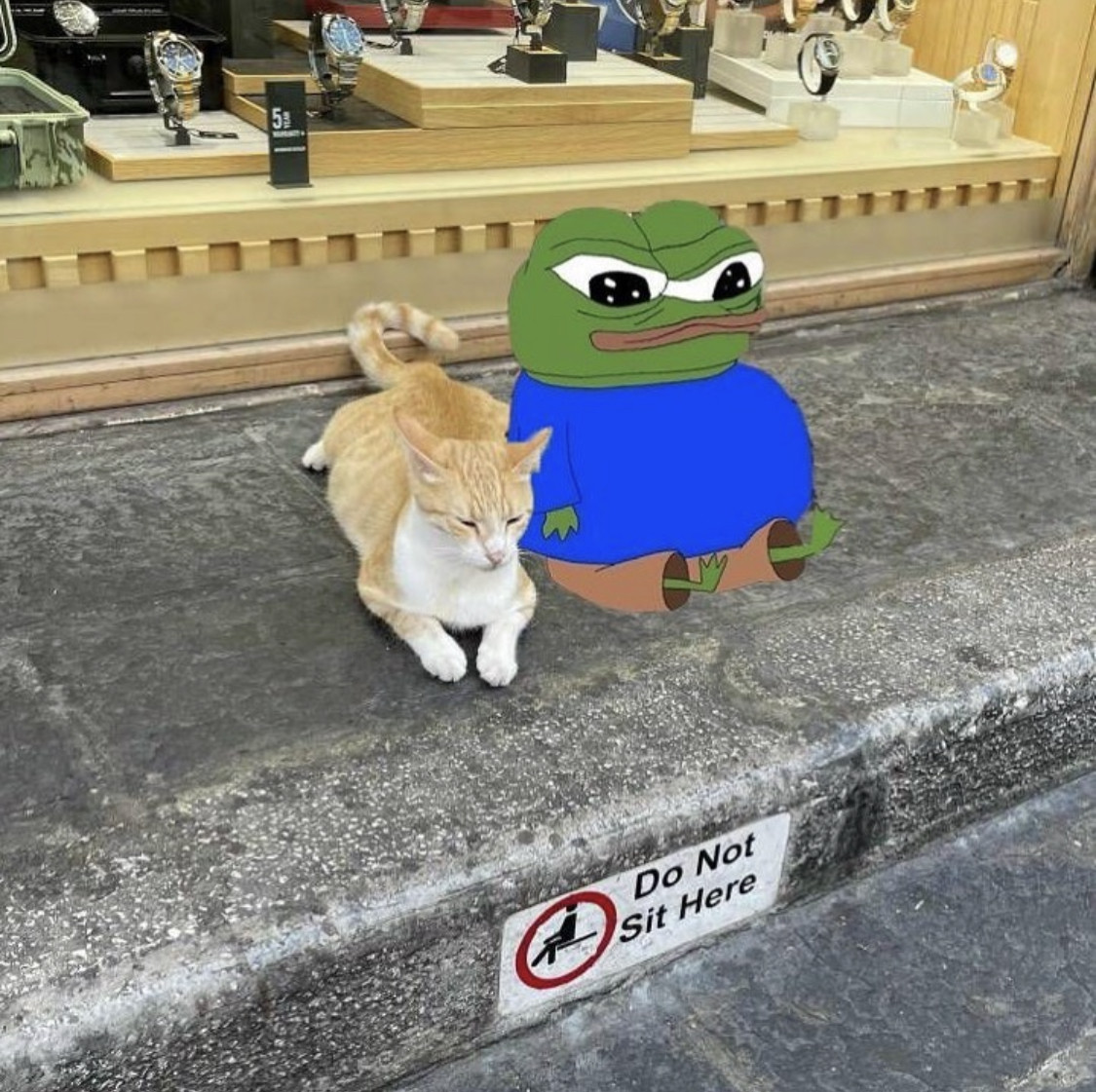 1773803527853734