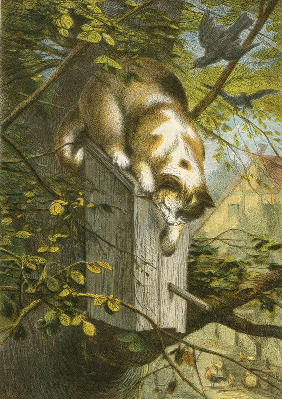 11-English School - The starling and its nest and the cat - (MeisterDrucke-58761)