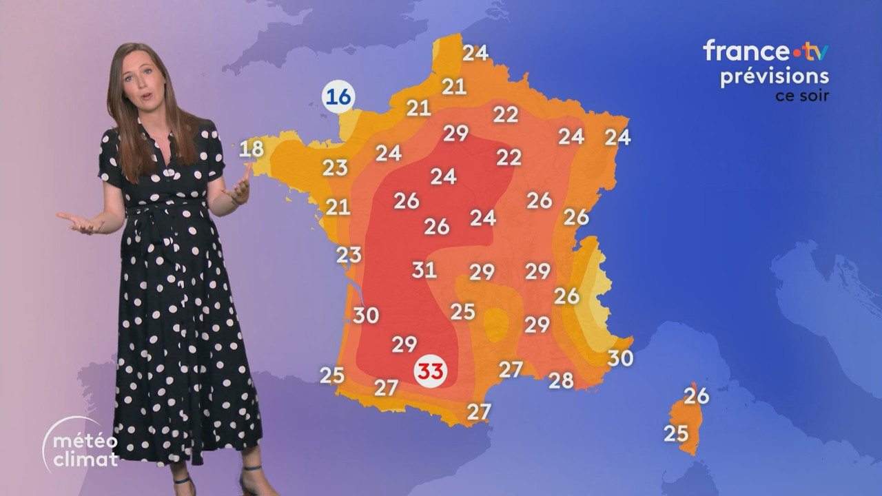 Journal 13h00 (France 2)_2025_08_12_11_55_44.ts_snapshot_01.08.085