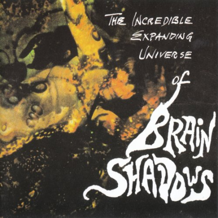 VA   The Incredible Expanding Universe Of Brain Shadows (1991)