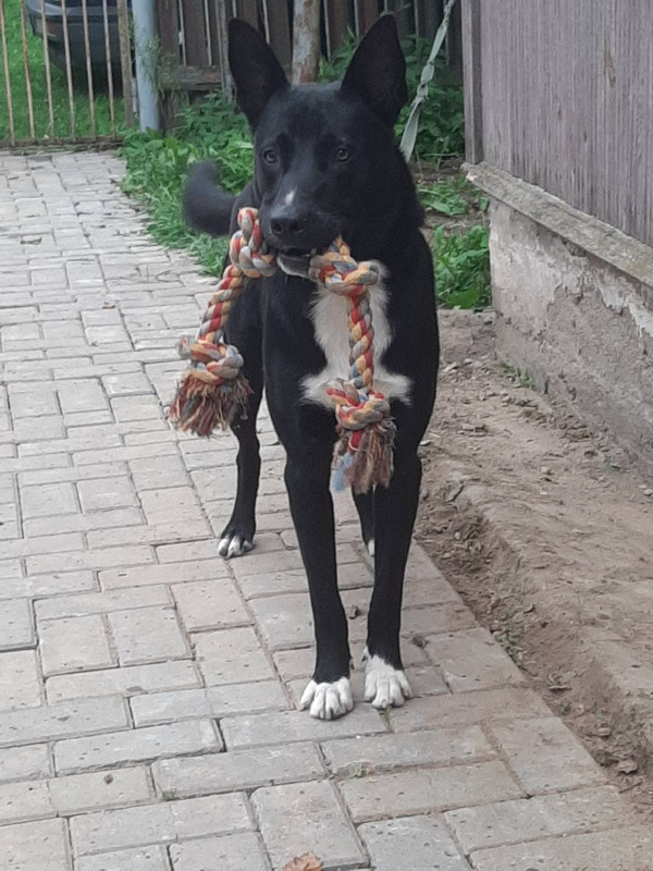 5DF55132-5E2C-4EDC-A5E4-D641264DBCC4