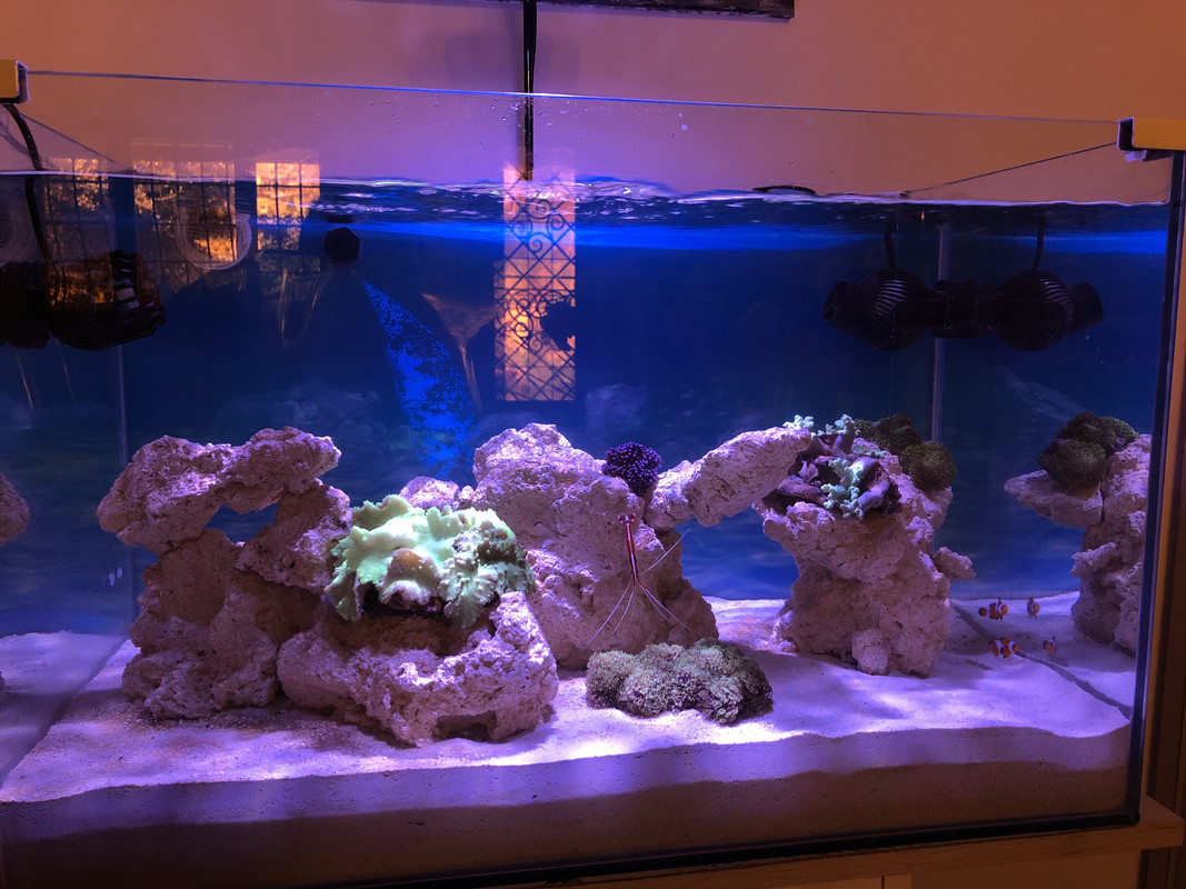 33343CDD-3425-421A-9B50-C3CCE38C4B01