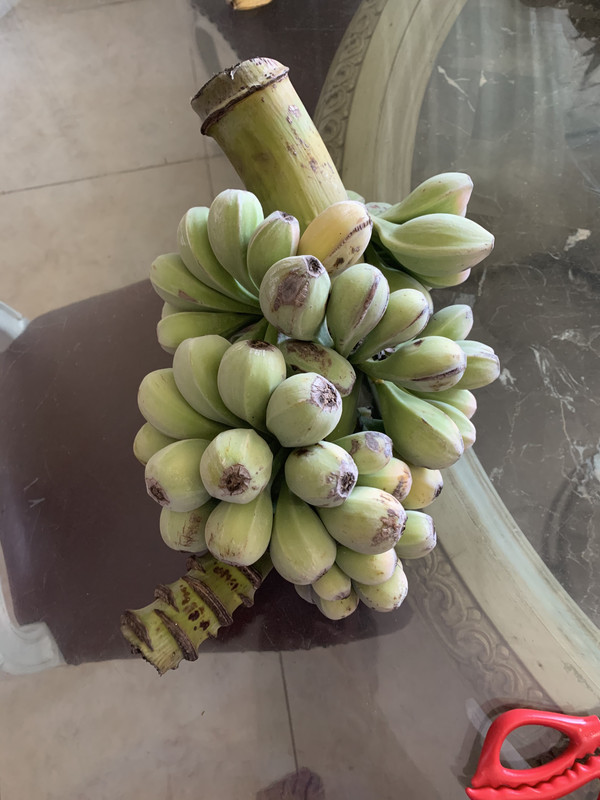 27662871-A0B4-4EC7-8E4B-85DB57176AC9