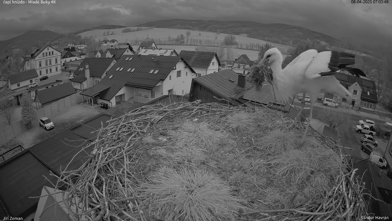 Tiešraides kamera — Mladé Buky — stārķa ligzda 4K 8-51-24 screenshot
