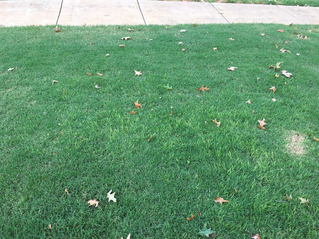 919007A4-2D84-4448-817D-245AE3A366BA