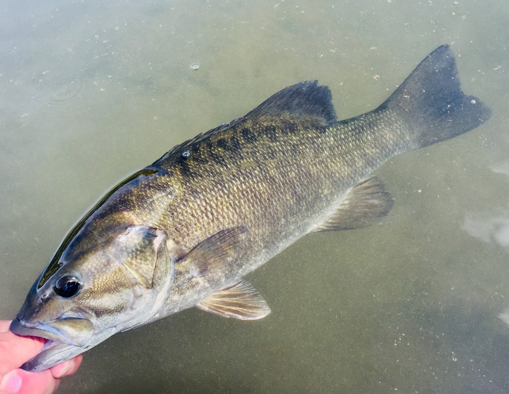 8C0125AC-A94A-45FB-A99C-F54AFF5ED216