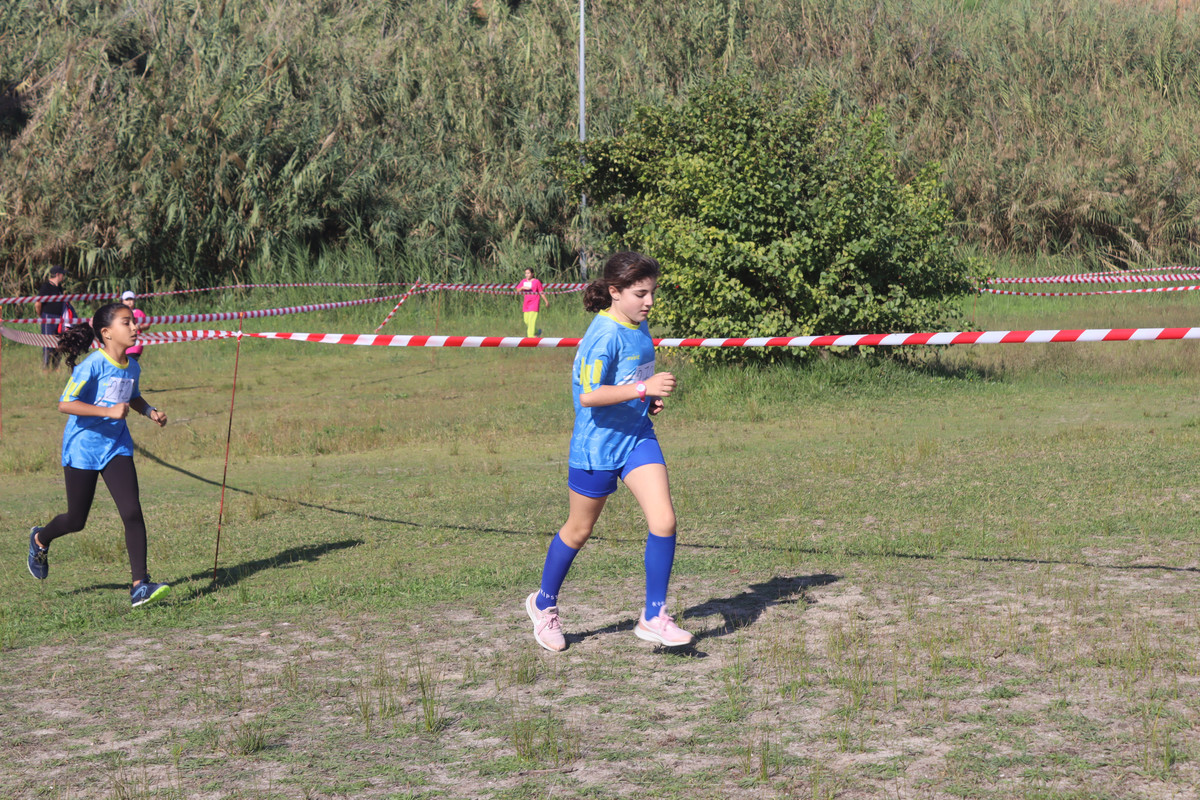 IMG-4109