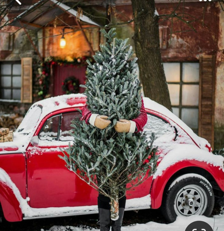 Screenshot_20231124_221500_Pinterest