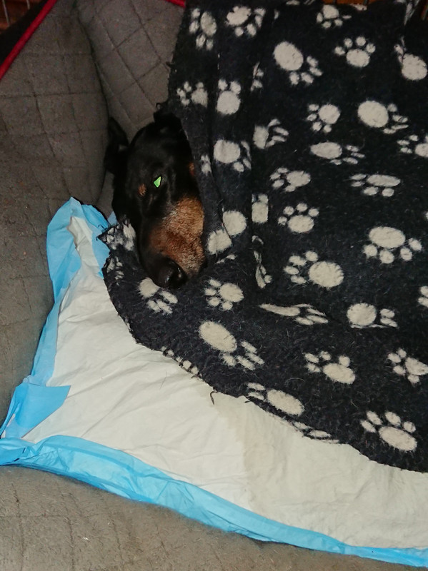 [Image: 20231123-212904.jpg]