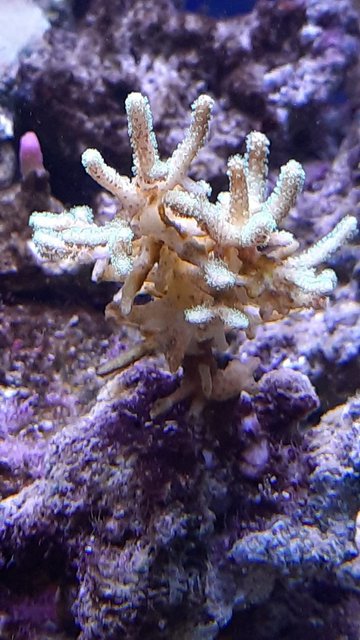 WhatsApp Image 2021-02-19 at 12.49.28 (3)