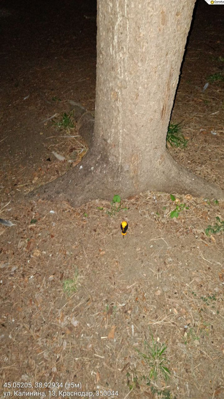 photo_46_2025-10-03_16-31-21