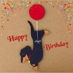 [Image: 2b590c1a2bf464fbf90e4261847d8f44.jpg]