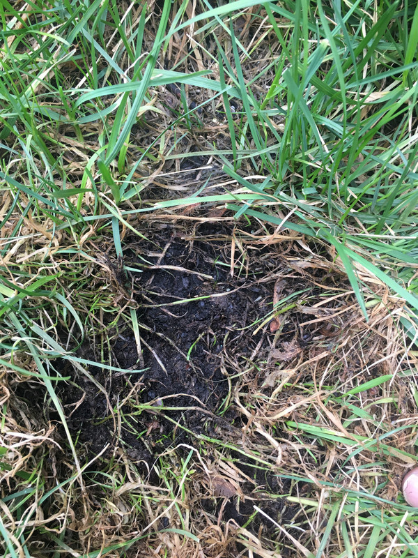 1CA350A7-3A61-40E0-93FC-67F091448F2F