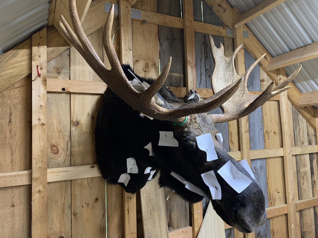 D4D5DD11-7987-4190-AB5B-420072634C41