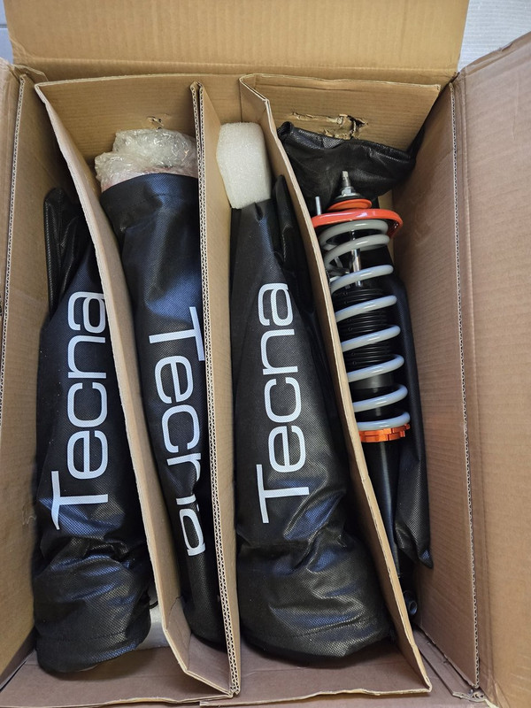 [Immagine: Cnrx-NWt-WQw2Gr2DZTVe-COg.jpg]