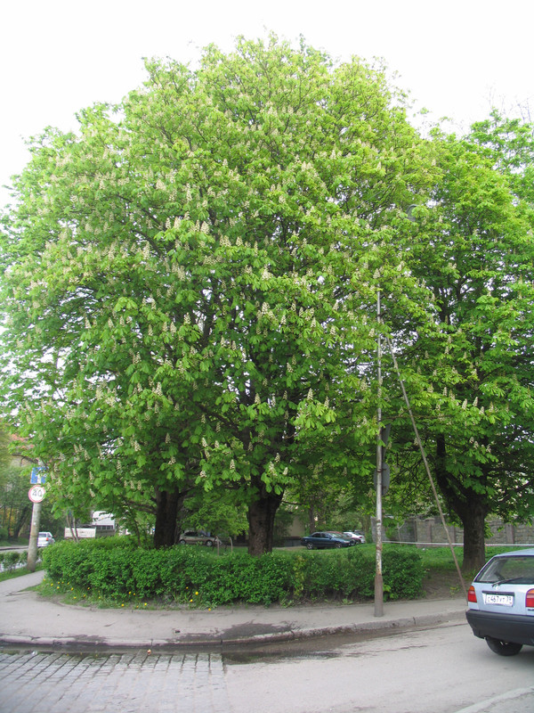 29 апреля 2024 125