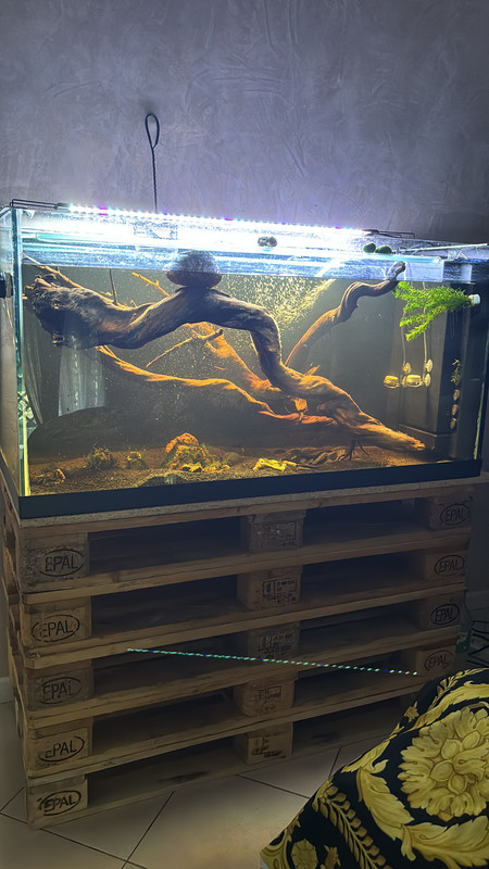 A8FD4C3C-5CBC-4B96-9E5A-C97C05CCFF52