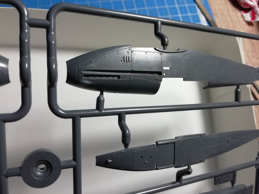 photo_2021-05-25_21-10-43 (6)