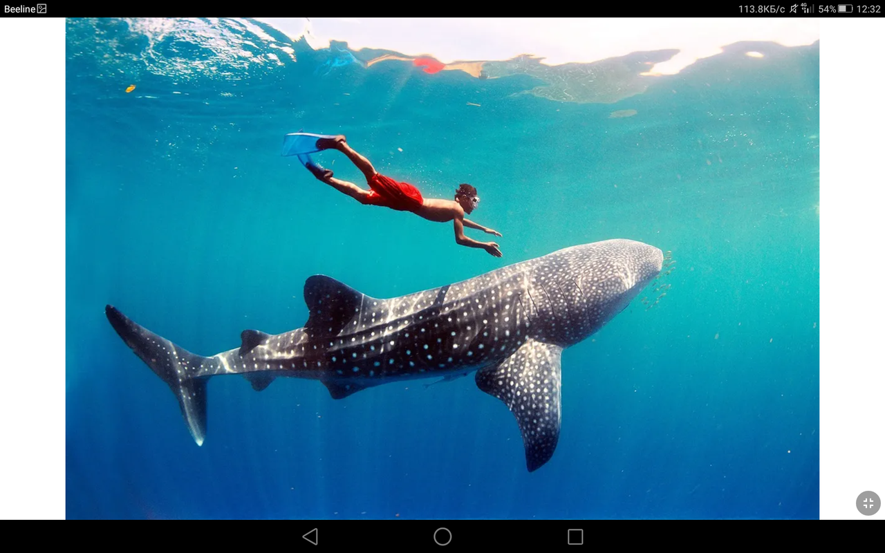 Screenshot_2023-08-30-12-32-43