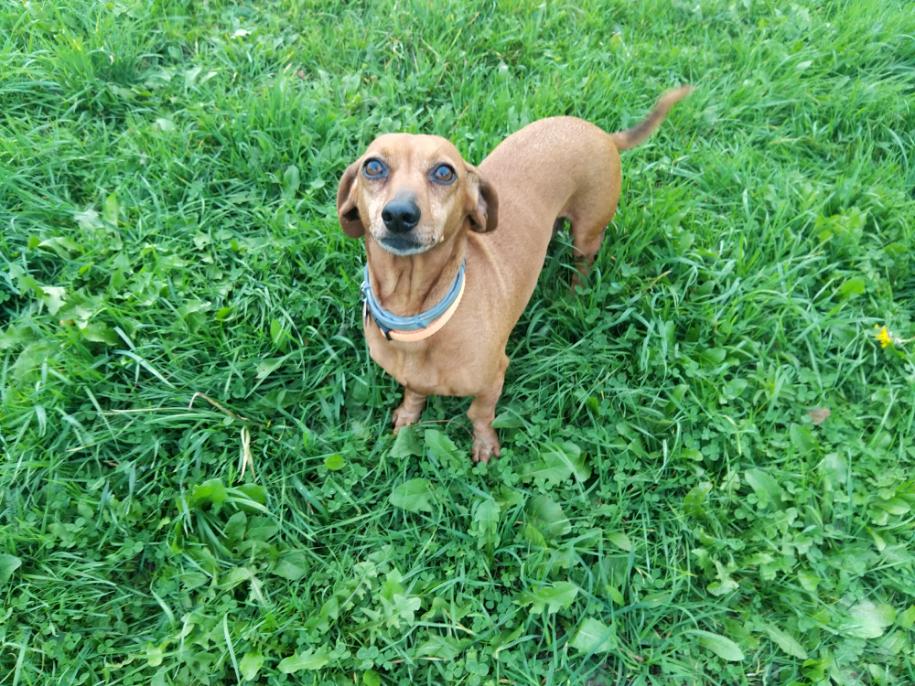 [Image: image000000-26.jpg]