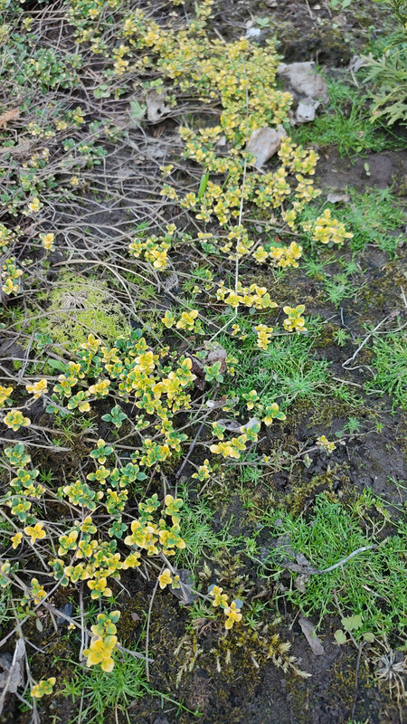 IMG_2023_06_04_18_41_40_4361337172642960051586