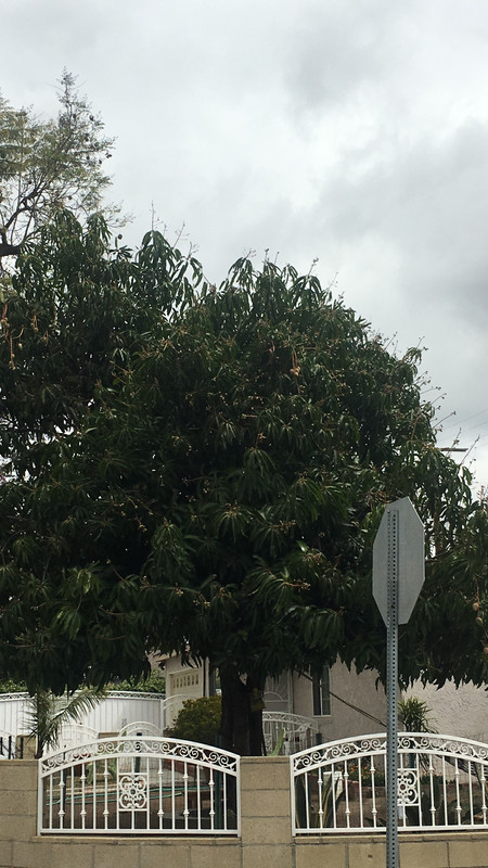 C5469261-7ED6-45D3-89F7-849EFF74F048