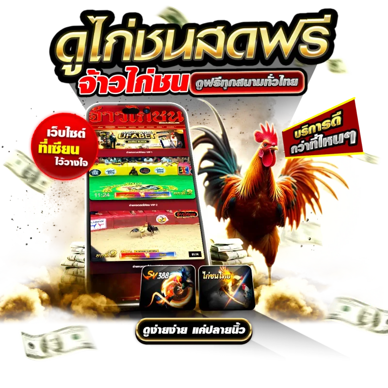 ถ่ายทอดสดไก่ชน