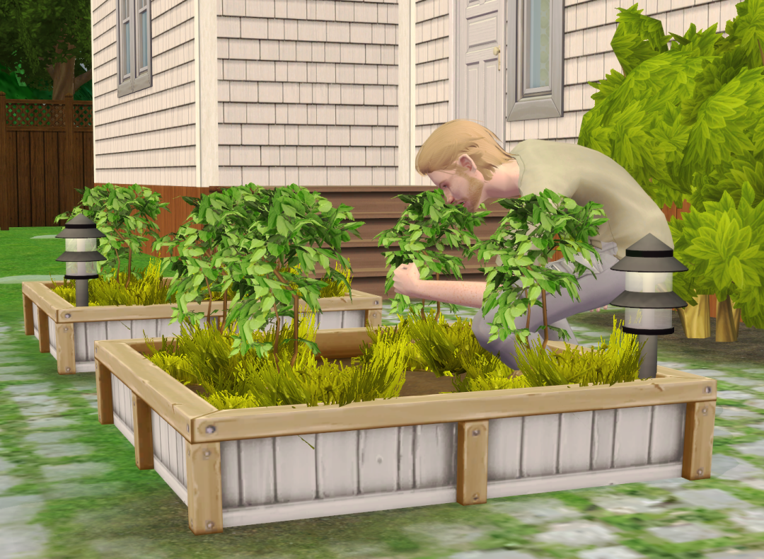 Sims2-EP9-RPC-2024-03-08-16-17-16-86