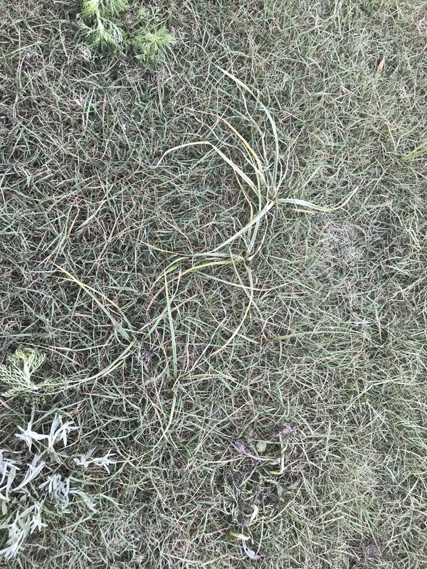 88BBFEA2-F509-400E-9290-4CD518C55753