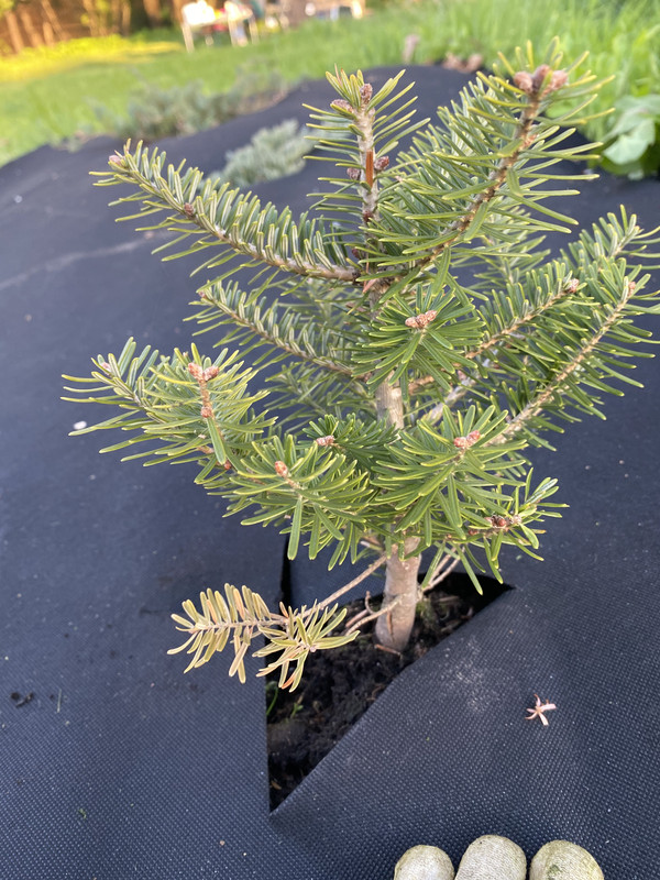 436D68C7-7604-403D-9E61-F07268A9E19B