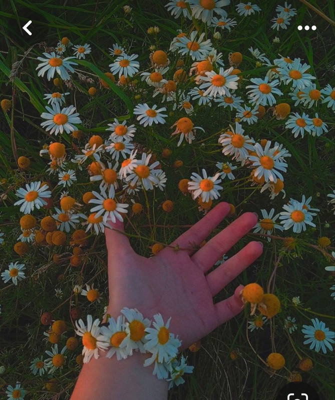 Screenshot_20240324_183718_Pinterest