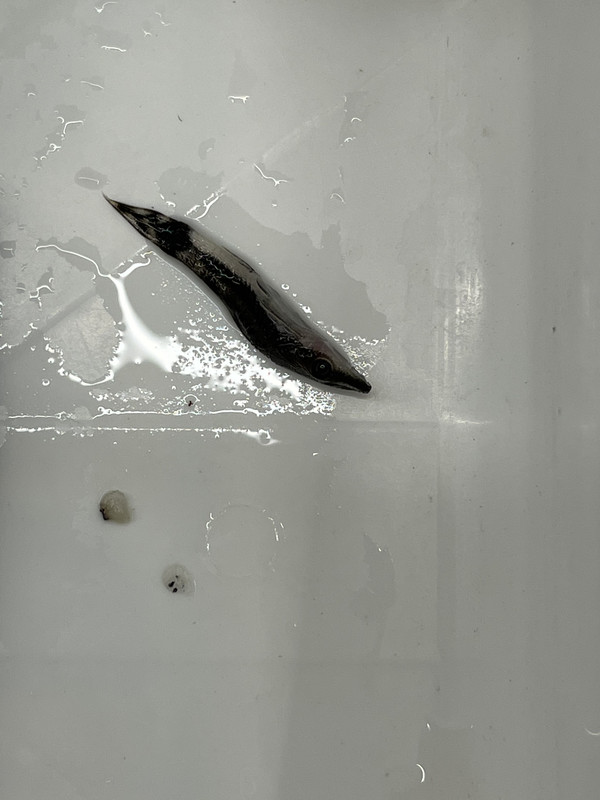 AFDD92F7-C8C1-4A01-89CC-35C5E27F2E4D