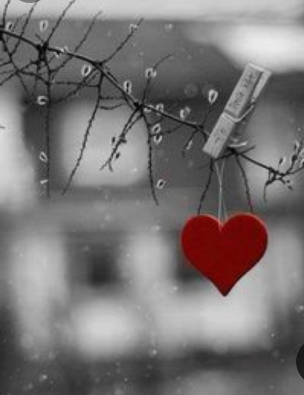 Screenshot_20240214_114914_Pinterest