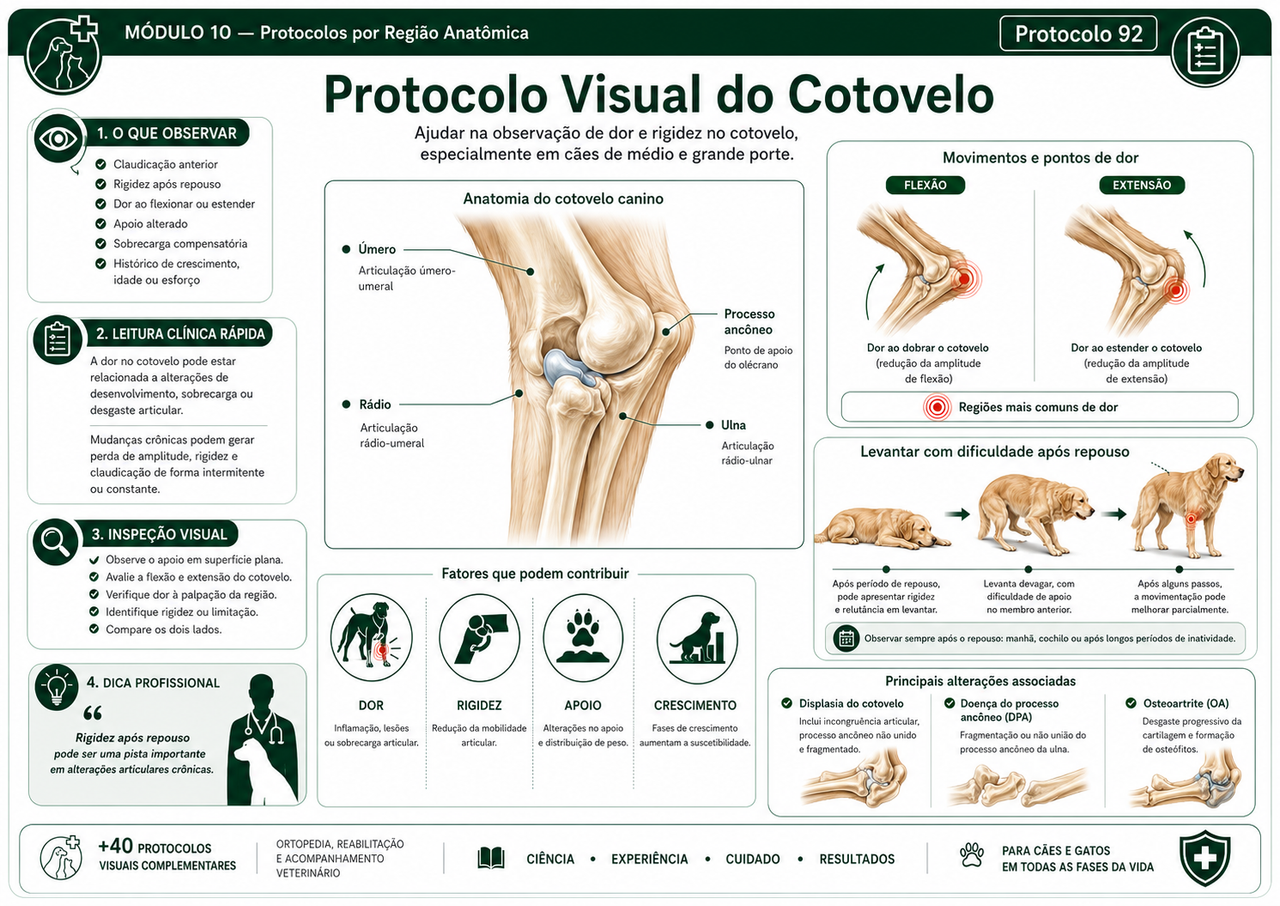 Página do material clínico 4