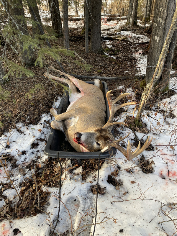 72203323716__2FBBBC59-82D2-4EB4-A096-29506237AB78